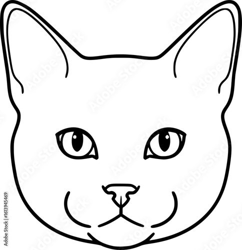 British shorthair cat head front view outline icon vector
