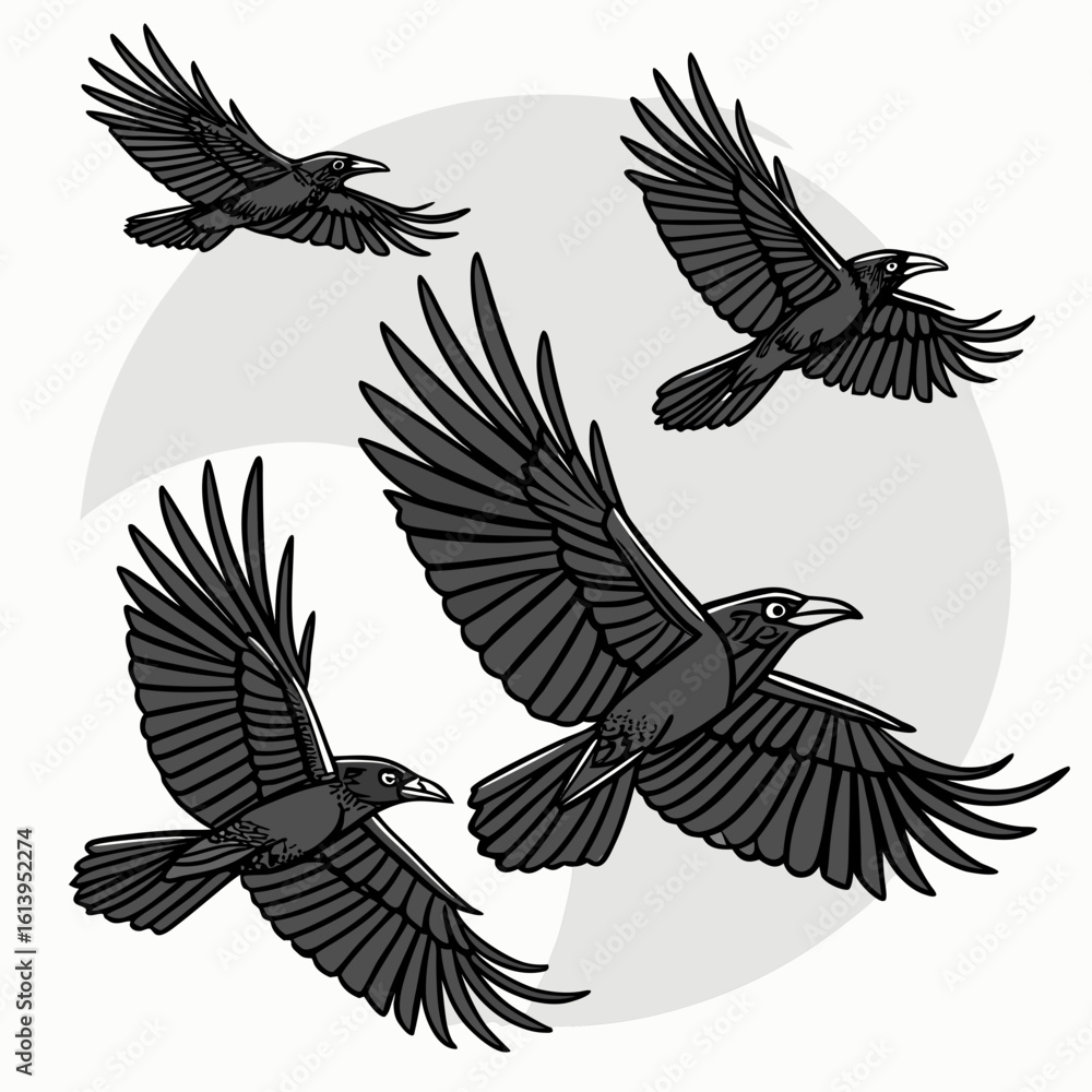 Obraz premium Swarm Of Birds In Flight Dense Minimalist Black