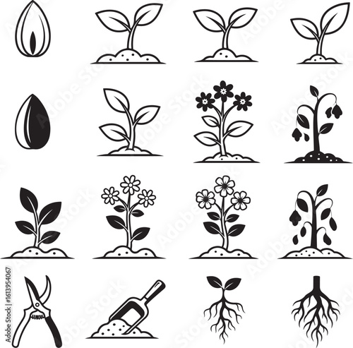 Set of black and white icons illustrating the plant life cycle from seed and sprout to flowering and wilting including gardening tools