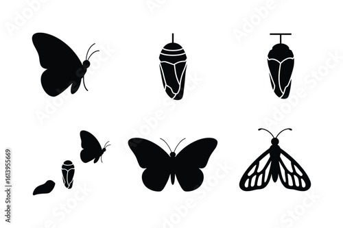 Butterfly and pupa silhouettes with detailed wings and antennae chrysalis insect