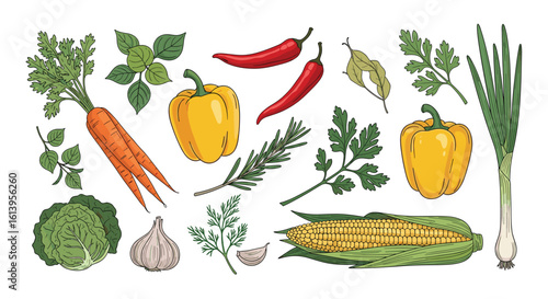 Fresh healthy organic vegetables and herbs collection for delicious cooking and gastronomy