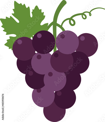 grape