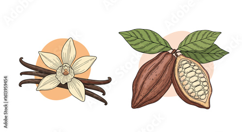 Discover the delicate floral notes of vanilla beans alongside the rich deep flavors of cacao pods an exquisite pairing for your culinary creations