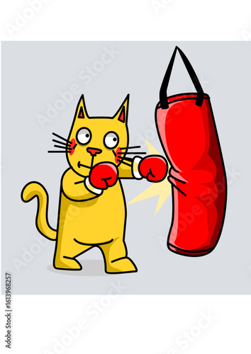 cat hitting a punching bag