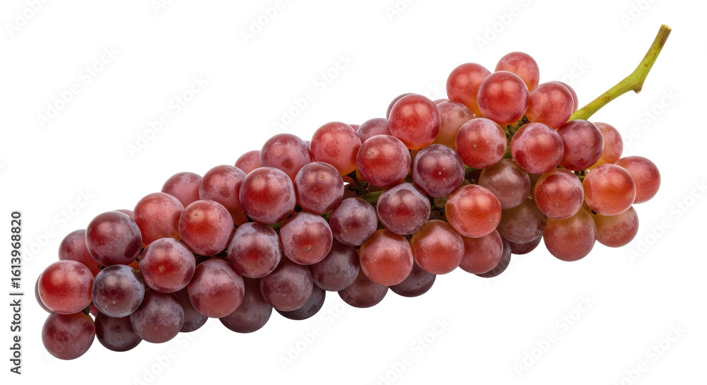 Fototapeta premium Isolated Bunch of Red Grapes