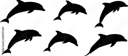 Set of Dolphins silhouette vector illustration isolated on white background