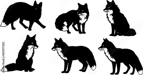 Set of Foxes in different variation silhouette vector illustration isolated on white background 