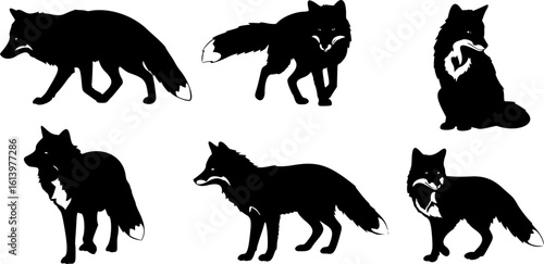 Set of Foxes in different variation silhouette vector illustration isolated on white background 