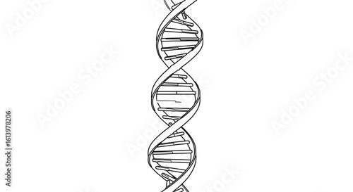 Dna helix structure genetic code deoxyribonucleic acid molecule biology science medical research study outline