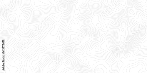 Luxury abstract line art background vector Texture pattern background design for wall arts, fabric , packaging , web, banner, app, wallpaper.