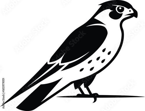 Falcon on branch, bird silhouette line art, perched raptor drawing, wildlife vector illustration, minimal nature scene