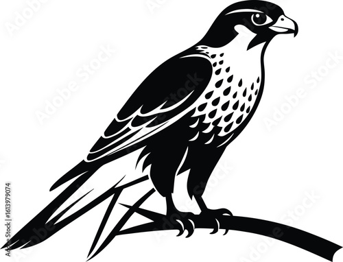 Falcon on branch, bird silhouette line art, perched raptor drawing, wildlife vector illustration, minimal nature scene