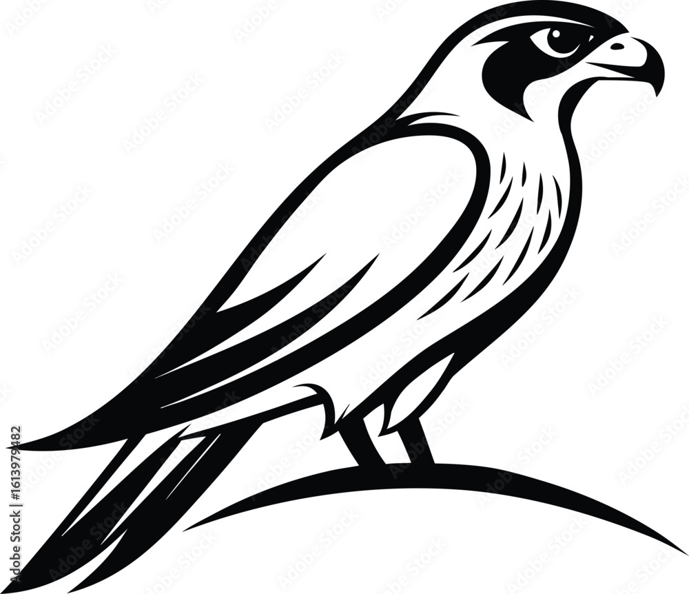 Fototapeta premium Falcon on branch, bird silhouette line art, perched raptor drawing, wildlife vector illustration, minimal nature scene