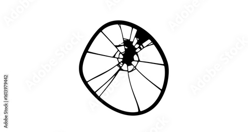 Broken glass cracked screen damaged window shattered glass repair service needed for this oval shape object