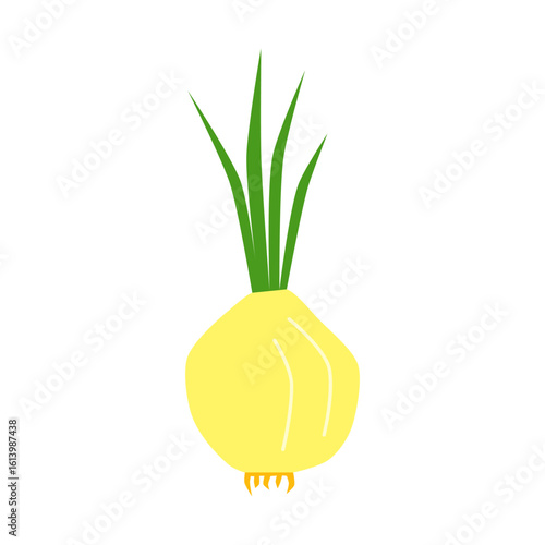 Cute hand drawn green onion flat isolated on white background. Healthy vegetarian food. Summer and autumn harvest.