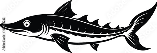 Lake sturgeon silhouette, freshwater fish line art, aquatic animal vector, minimal marine drawing, nature illustration design