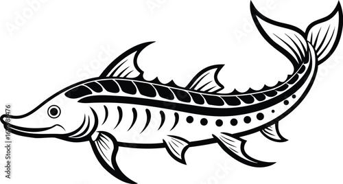 Lake sturgeon silhouette, freshwater fish line art, aquatic animal vector, minimal marine drawing, nature illustration design