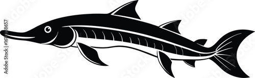 Lake sturgeon silhouette, freshwater fish line art, aquatic animal vector, minimal marine drawing, nature illustration design