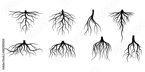 Tree root icon set. Tree root silhouette set vector