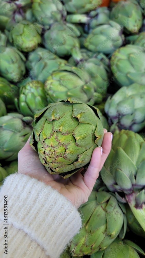 Obraz premium Close-up of a woman's hand holding a fresh green artichoke. The artichoke has a characteristic dense head with scaly leaves