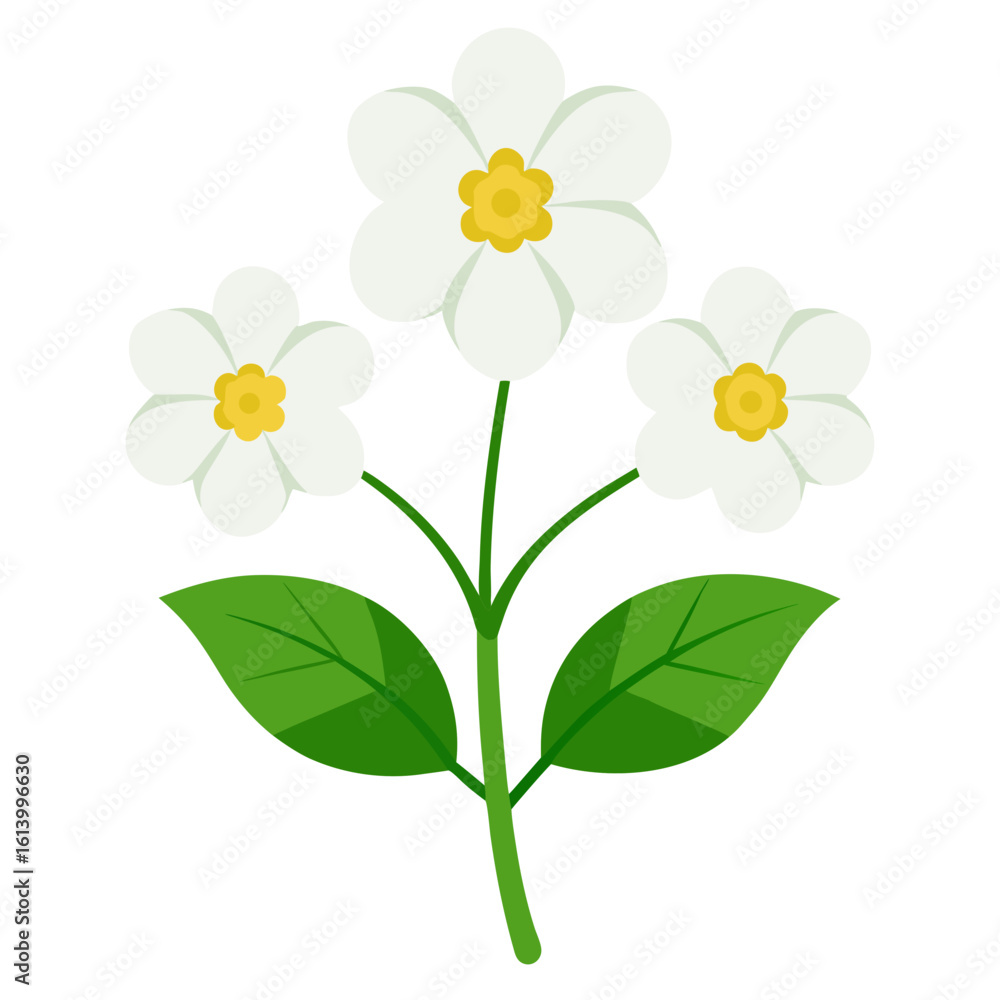 Fototapeta premium yellow flower isolated on white background