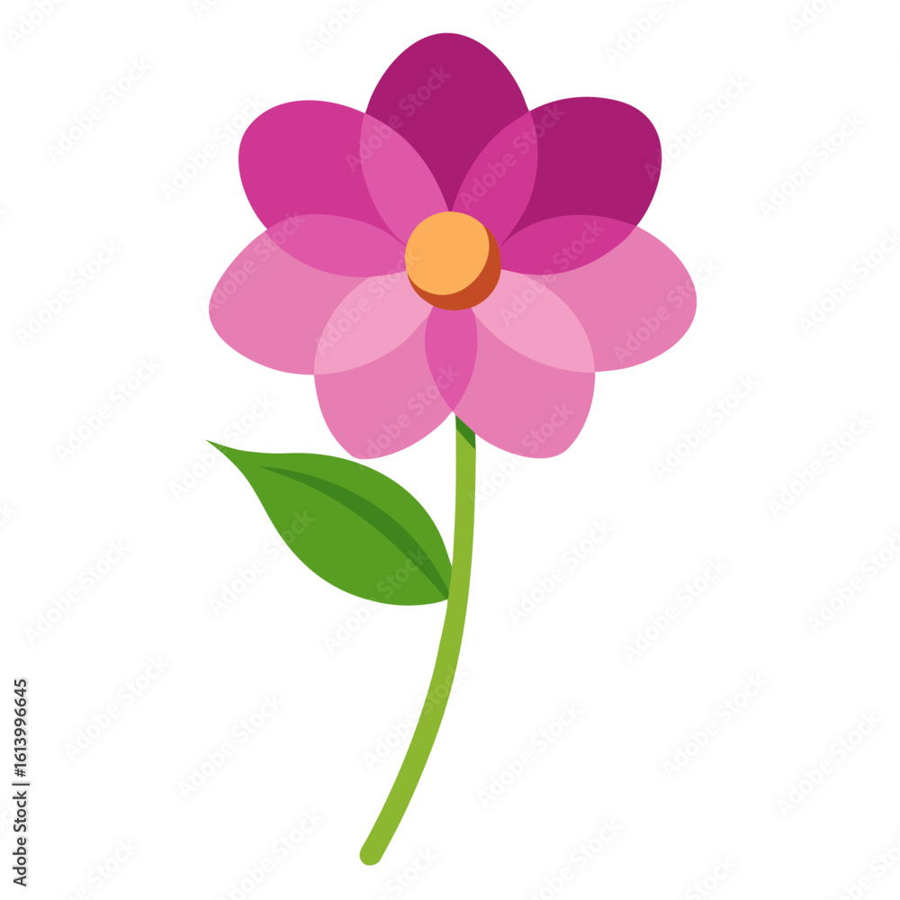Fototapeta premium pink flower isolated on white background