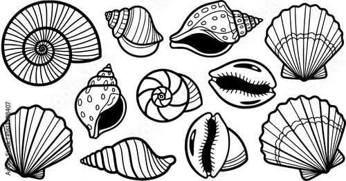 Seashells - Cartoon Vector Illustration
