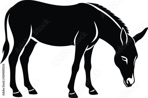Mule eating grass, grazing animal silhouette, farm livestock line art, rural scene vector, minimal nature illustration