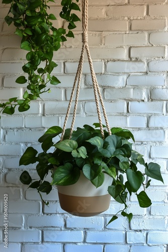 Green Hanging Plant in a Woven Pot Against a White Brick Wall Creates a Cozy ...