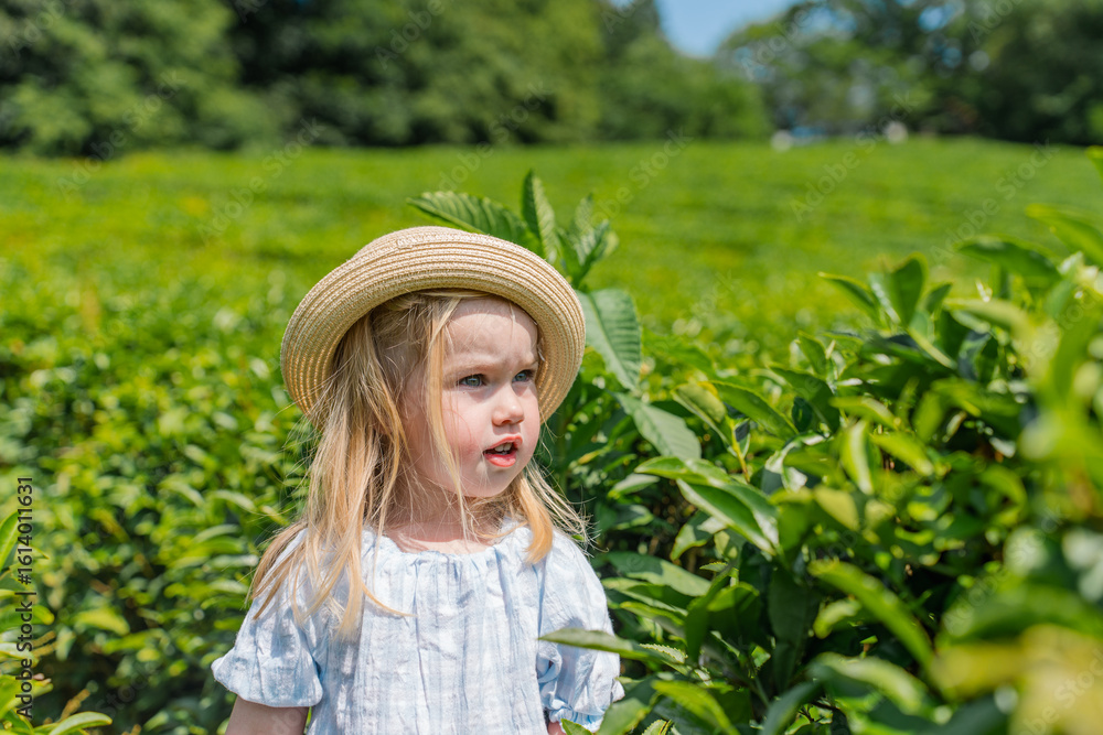 Φωτογραφία Child Caucasian little girl walks between the rows of tea on a tea plantation