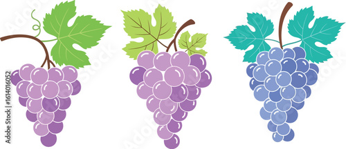 Illustration of grape bunches with leaves for food and fruit design needs