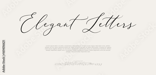 Signature Font Uppercase Lowercase And Number. Script Font Calligraphy Logotype  elegant Font Type Font lettering handwritten. vector illustration  

