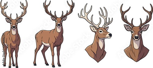 Cartoon deer illustration set of four deer with antlers isolated on white