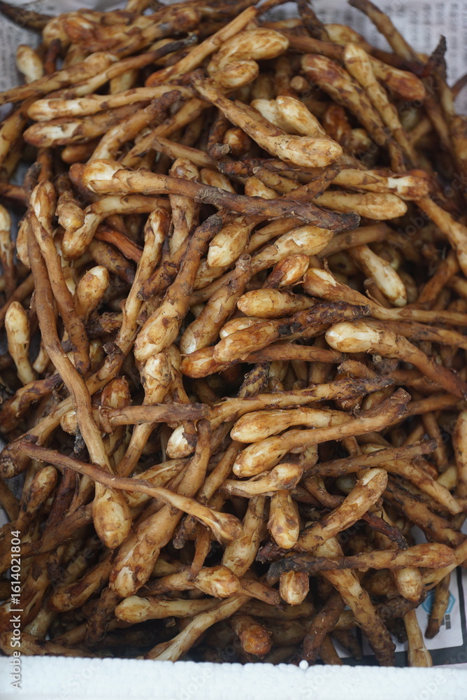 Medicinal stems resembling eggplant roots sold in a Korean traditional market Medicinal stems resembling eggplant roots sold in a Korean traditional market