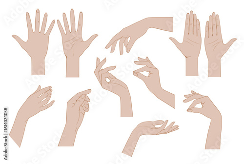 A set of linear drawings of flesh-colored female hands isolated on white. Retro icons, emblems and logo. Vector illustration
