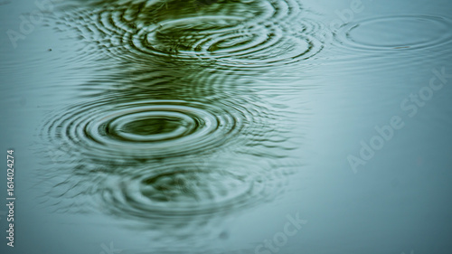 Rain drop ripple reflection on pond water.Gentle greenish pond water disturbed by raindrop-induced ripple fluctuations—soft natural abstract background.