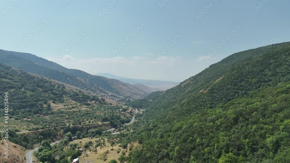 AERIAL Above the forest trees towards the mountains AERIAL Above the forest trees towards the mountains