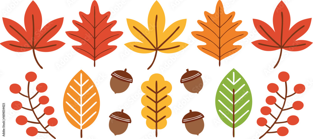 Fototapeta premium Autumn leaves and acorns collection orange