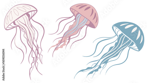 watercolor jellyfish illustration with pink and blue marine creatures in minimalist artistic style isolated on white background.