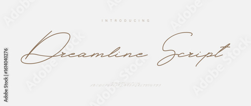 Signature Elegant Branding Typeface. Handwritten Script Editable Text Effect Template . vector illustration 
