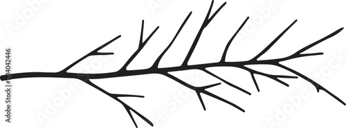 Long Branch Silhouette Vector Style For Nature And Botanical Design