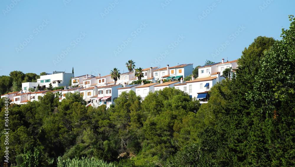 Obraz premium Residential buildings on a hilltop in the middle of a forest