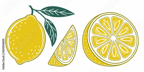vector illustration of an orange fruit