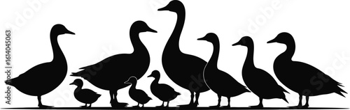 A black vector silhouette of a family of geese with goslings