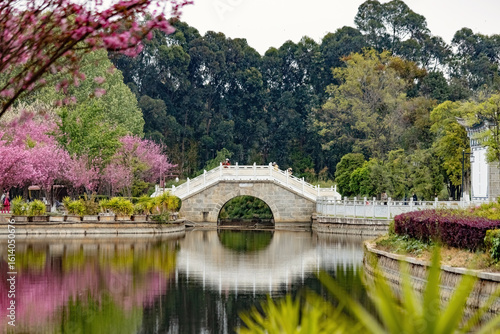 A serene stone bridge spans a reflective pond surrounded by blossoming trees and lush greenery in a traditional Chinese garden in Kunming, Yunnan, China