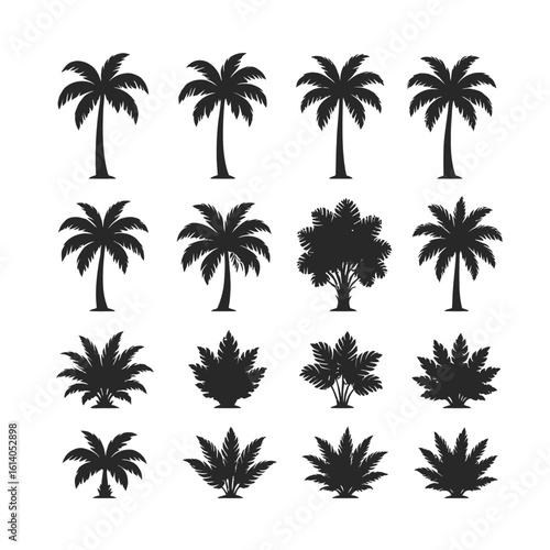 Tropical Silhouettes Palm Trees and Lush Foliage Collection