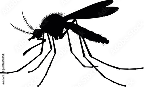Mosquito silhouette vector image for pest control and disease prevention