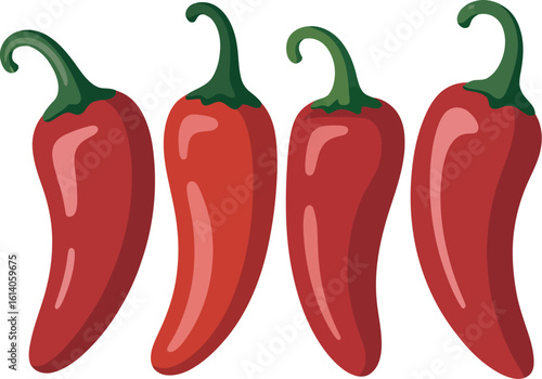 Red chili peppers vector illustration for spicy food ingredient and cooking