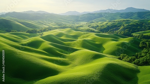 Breathtaking Aerial Panorama of Rolling Green Hills with Golden Sunlight, Distant Mountains - Nature Landscape Design for Travel and Eco Themes