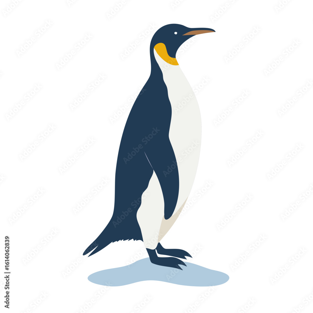 Fototapeta premium Penguins